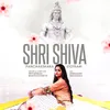 About Shri Shiva Panchakshara Stotram Song